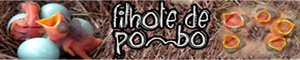 Banner do Filhote de Pombo