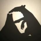 salve_o_cerrado__animacao_com_sombras