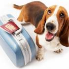 saiba_como_agir_com_seu_animal_de_estimacao_em_viagens