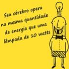 10_curiosidades_que_voce_nao_sabe_58