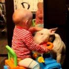 Você deixaria um bebê brincando assim com um Pitbull?