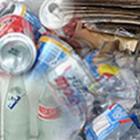 Reciclagem não impede destruição do meio ambiente