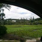 fim_de_semana_verde