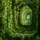 o_tunel_do_amor_existe