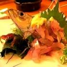 voce_comeria_peixe_vivo_