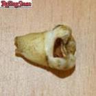 dente_de_john_lennon_vale_us$_31_mil
