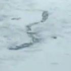 video_mostra_criatura_estranha_que_teria_sido_vista_em_lago_na_islandia