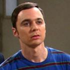 o_sheldon_odeia_onibus