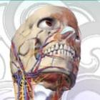 5_das_piores_coisas_ja_encontradas_num_corpo_humano