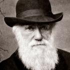 Já ouviu falar em darwinismo social?