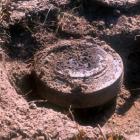 A guerra está escancarada: elefantes são caçados com minas terrestres