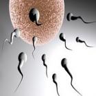 fertilidade_feminina