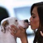 beijo_animal