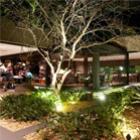 conheca_a_pizzaria_mais_bonita_de_sp