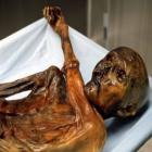 otzi_mumia_do_gelo_tinha_carrapatos_e_intolerancia_a_lactose