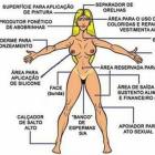 a_anatomia_de_um_jeito_que_voce_nunca_viu