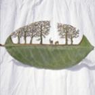espanhol_transforma_folhas_secas_em_objetos_de_arte