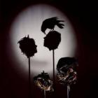 a_arte_das_sombras