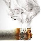 vai_la_campeao_continue_fumando_