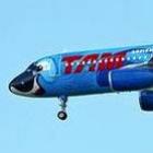 tam_transforma_aeronave_em_blu_arara_azul_do_filme_rio