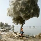 Enorme teias de aranha em volta de árvores no Paquistão