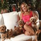 Susana Vieira gasta mais de R$ 2 mil com cães