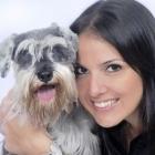 cuidados_com_o_schnnauzer