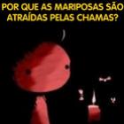 por_que_as_mariposas_sao_atraidas_pelas_chamas