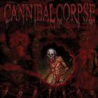 cannibal_corpse_novas_imagens_da_gravacao_do_novo_album
