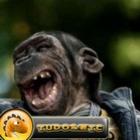 macacos_os_trolls_da_floresta