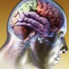 ciencia_investiga_googles_humanos_pessoas_que_nunca_esquecem