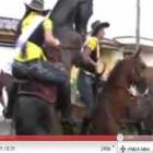 cavalo_tenta_cruzar_com_mulher
