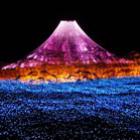 parque_nabana_no_sato_&ndash;_jardim_de_flores_iluminado