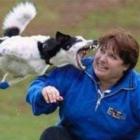 fails_animais_os_melhores_da_semana
