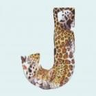 o_incrivel_alfabeto_animal_de_casey_girard