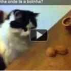 gato_de_las_vegas
