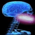 nossa_coluna_vertebral