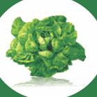aviso_aos_vegetarianos