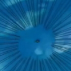 e&hellip;_e_goku_duvido_voce_acertar