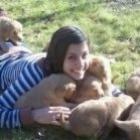 qual_o_cachorrinho_mais_esperto