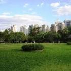 caminhada_pare_a_dor_no_parque_villa_lobos_venha_participar