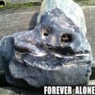 Fóssil de um Forever Alone?