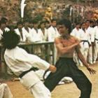 karate_vs_kung_fu