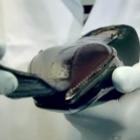 Vídeo mostra em detalhes o processo de fabricação dos sapatos Louis Vuitton