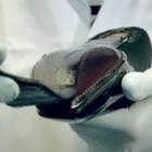 video_mostra_em_detalhes_o_processo_de_fabricacao_dos_sapatos_louis_vuitton