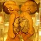 museu_da_morte