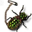 besouros_sao_trasnformados_em_joias_vivas_no_mexico_