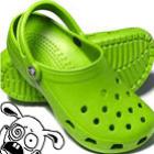 Croc Croc Croc!