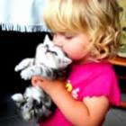 bichos_relacao_de_lealdade_e_amor_incondicional
