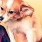 mais_um_caso_de_maltrato_com_animais_que_ta_virando_febre_na_internet